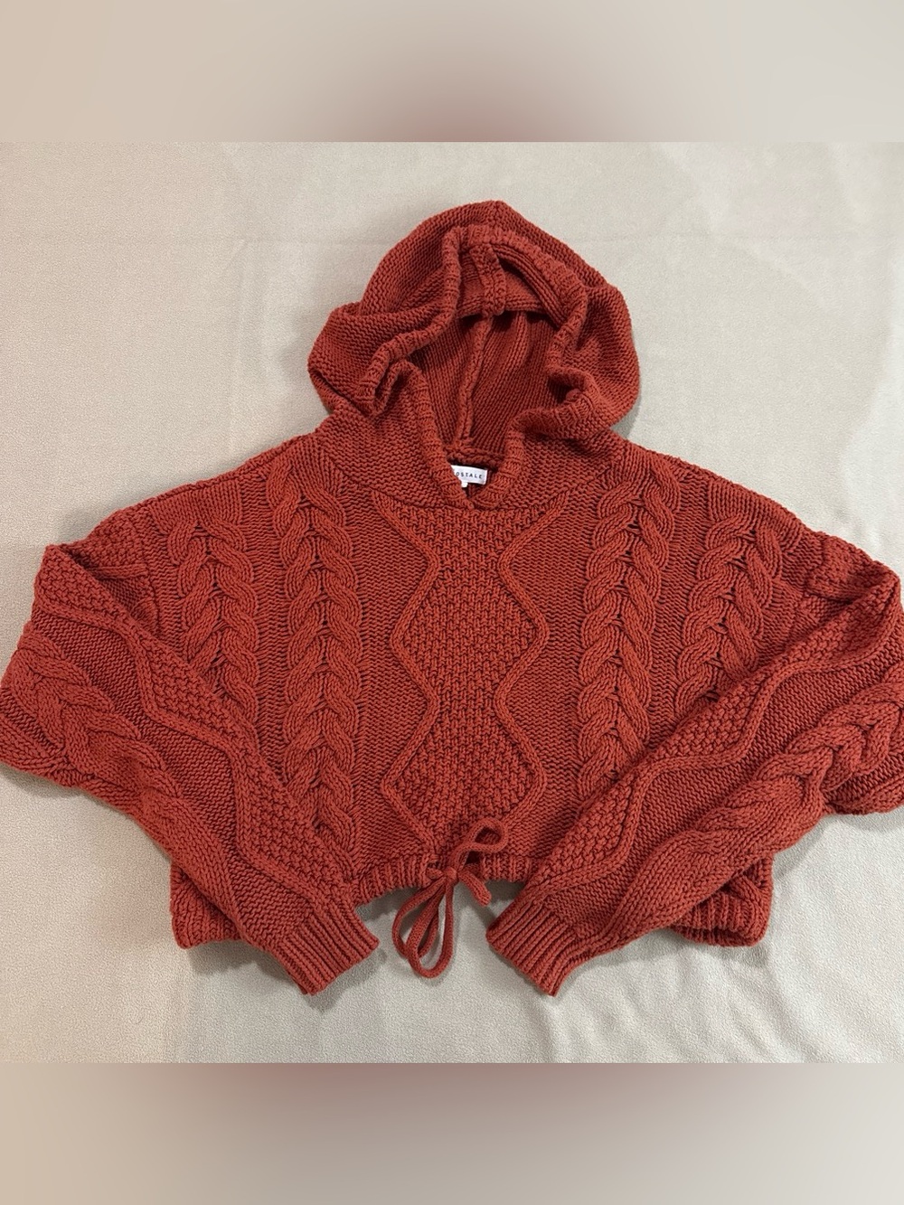 Aeropostale Cable Knit Ribbed Hooded Sweater in Rust